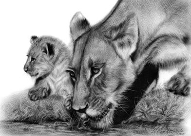 Lioness And Her Cub