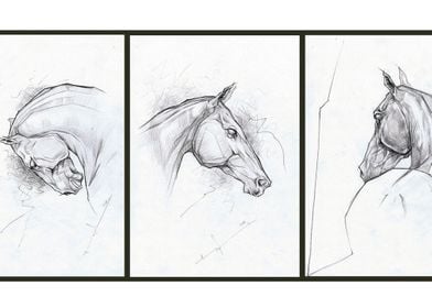 Horses series 