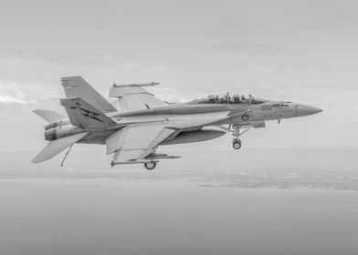 Formation with Superhornet