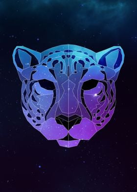 Galaxy Cheetah