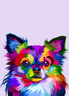 colorful chihuahua dog 