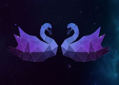 Galaxy Swan Lovers