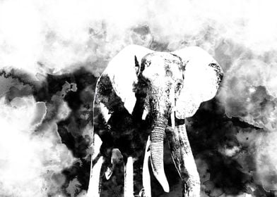 Abstract African elephant