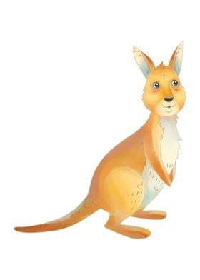 Kangaroo