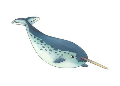 Narwhal 