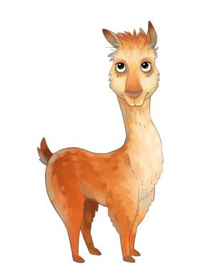 Llama