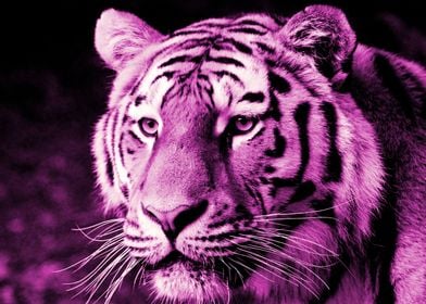 Tiger digiart pink