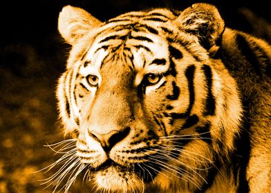 Tiger digiart gold