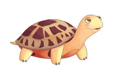 Tortoise