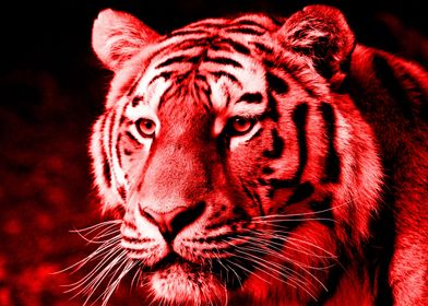 Tiger digiart red