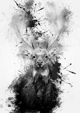 Ink Deer