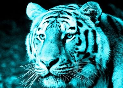 Tiger digiart turquoise