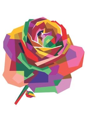Colorful Rose Flower