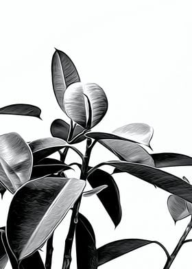 Black and White Leaves