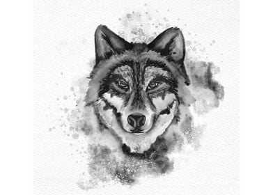 wolf Water Colour