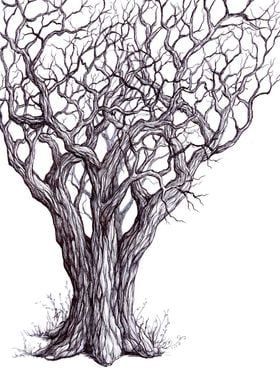 Tangled Tree