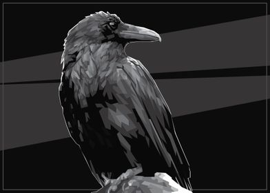 Raven The Mystic