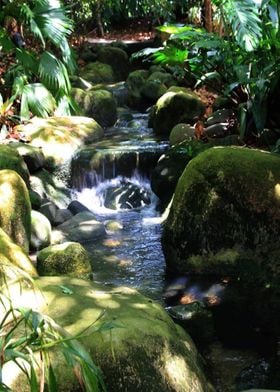 Botanic Stream