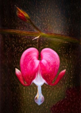 Ethereal Bleeding Heart