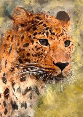 Leopard Digital Watercolor
