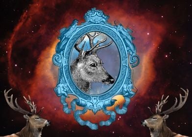 Space Stag Tribute