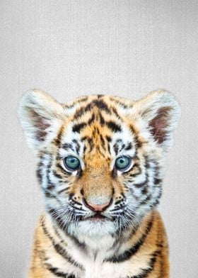 Baby Tiger Colorful