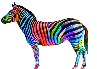 Zebra Geometric