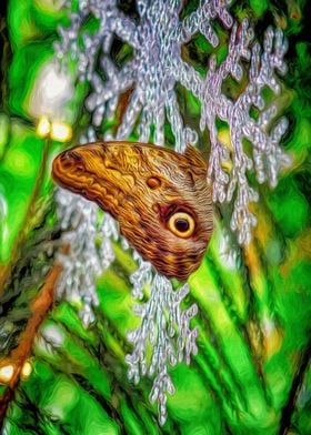 Butterfly on Snowflake