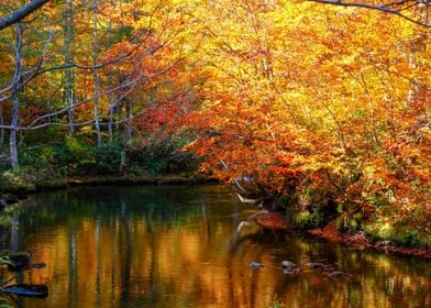 Hachimantai National Park