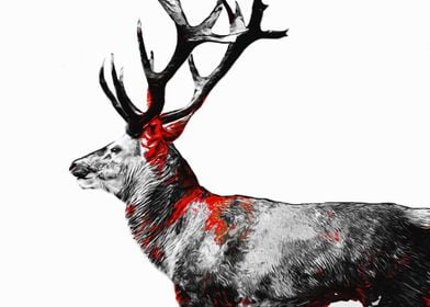 Deer Red Black