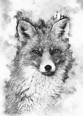 Fox black and white