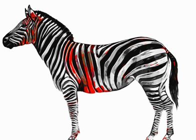 Zebra Red Black