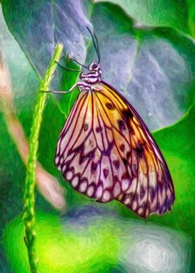 Butterfly Under a leaf