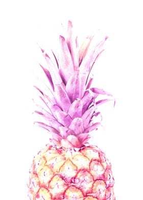 Violet Pineapple