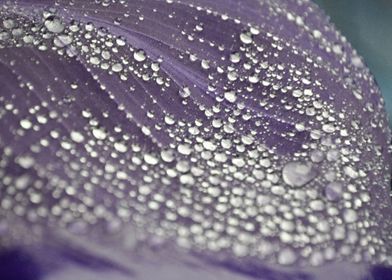 Purple Dew  Energy Beads