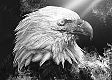 Burned Eagle