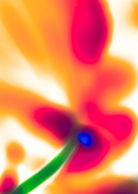 abstract flower