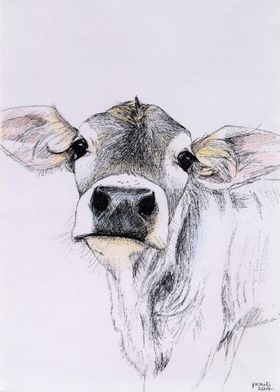 lovley cow