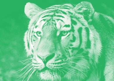 Tiger pastel green