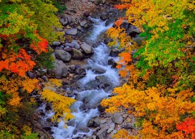 Jogakura Mountain Stream