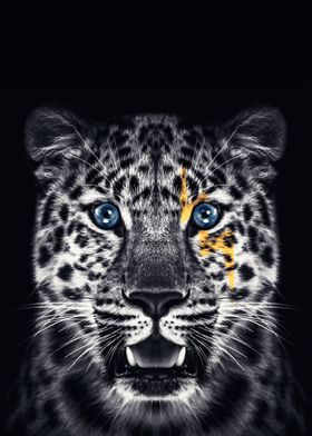 JAGUAR 