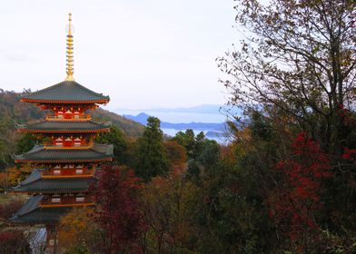 Pagoda view