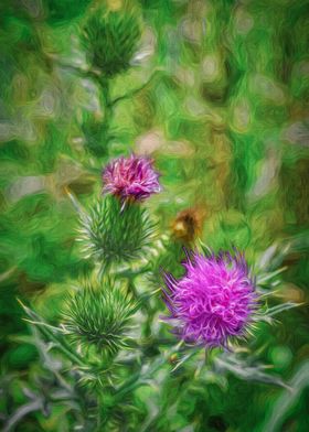 Thistle Wildflowers