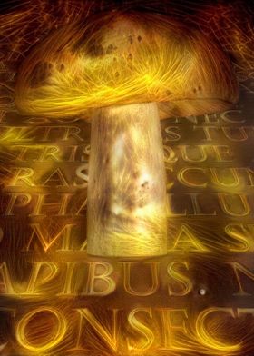 Golden Mushroom