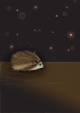 Hedgehog lost in space