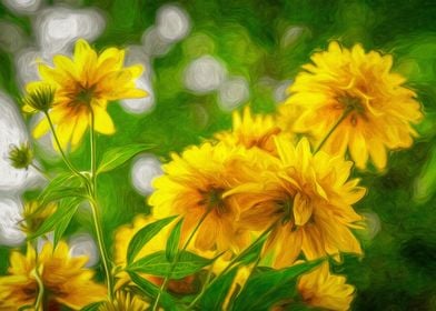 Coreopsis Flowers