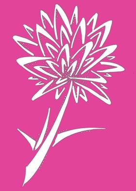 Pink Dandelion Flower
