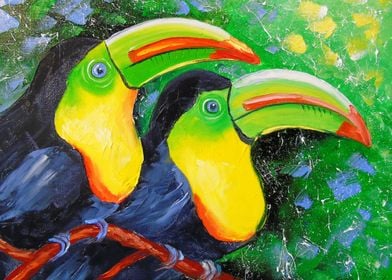 Toucans