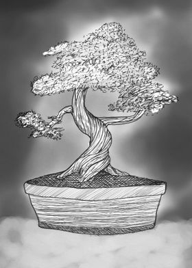 Bonsai