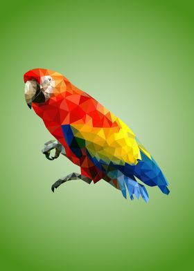Low poly parrot